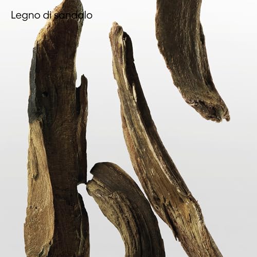 Calvin Klein One Essence Parfum Intense