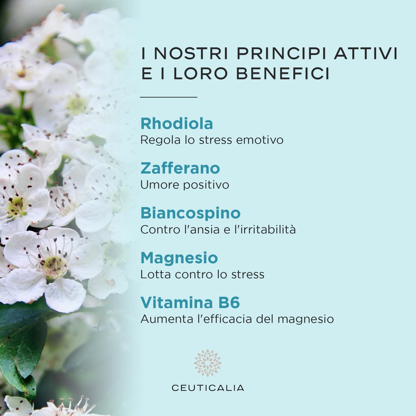 CEUTICALIA Magnesio Bisglicinato con Vitamina B6 ed estratti vegetali: recensione completa