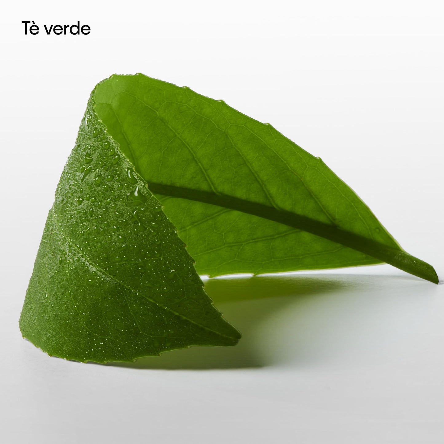 Calvin Klein One Essence Parfum Intense