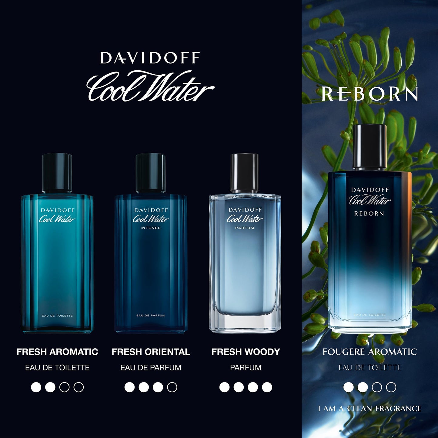 Davidoff Cool Water Intense Man Eau De Parfum